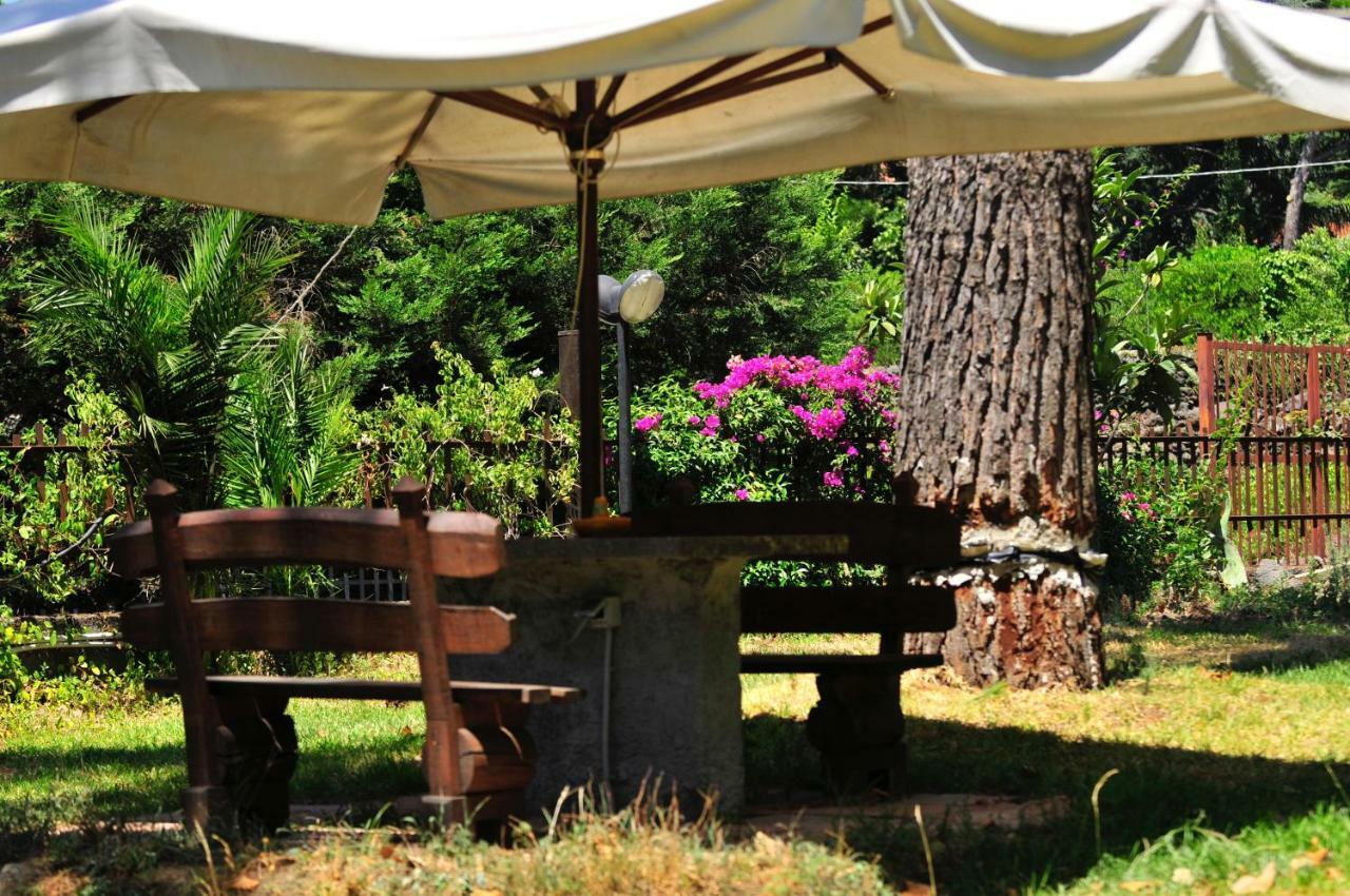 B&B Casa Di Antonio_Etna Vacanze Trecastagni Exterior foto